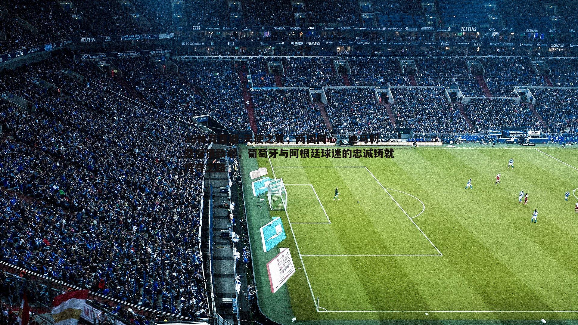 天使之翼,两国同心,迪马利亚深情致谢,葡萄牙与阿根廷球迷的忠诚铸就传奇之路